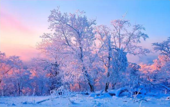 今年冬天会特别冷吗3