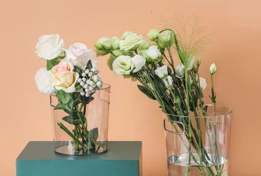 醒花要把防护网拿掉吗1