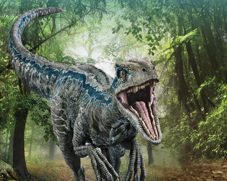 北京环球影城国庆期间什么时候开园2