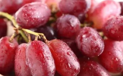 刚买的提子有酒味是坏了吗2