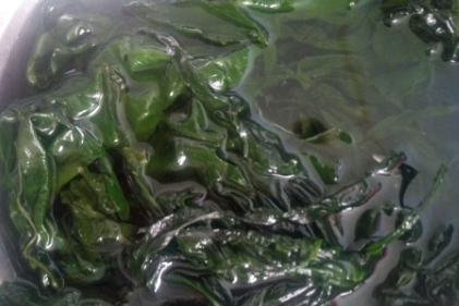 大片海带怎么储藏4