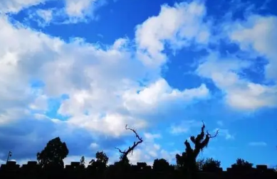 2022清明节可以穿短袖了吗2