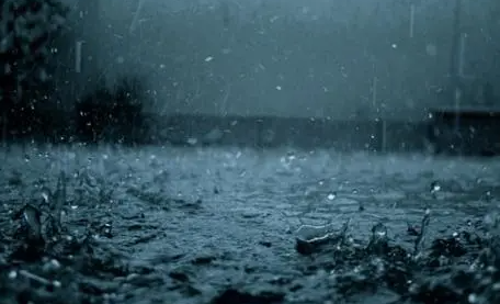 今年为什么这么多雨20213