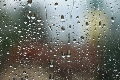 今年为什么这么多雨20212