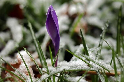 今年冬天不冷明年春天会冷吗20222