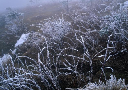 下霜一般早上几点下1