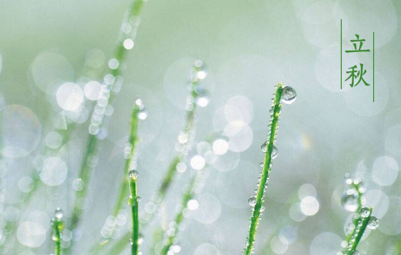 立秋后雨水多还是立秋前雨水多20211