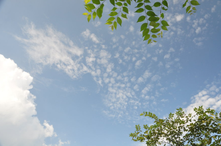 2022过年是几九冷不冷2