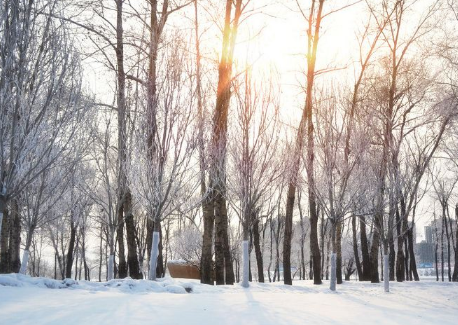 2022年过年出九了吗1