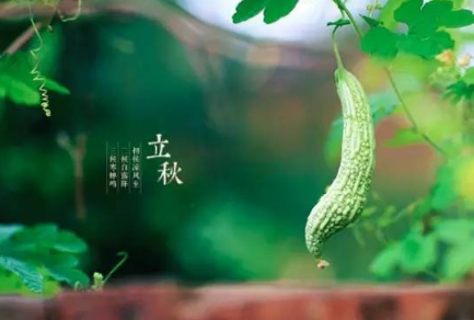 2021年立秋就要贴秋膘吗3