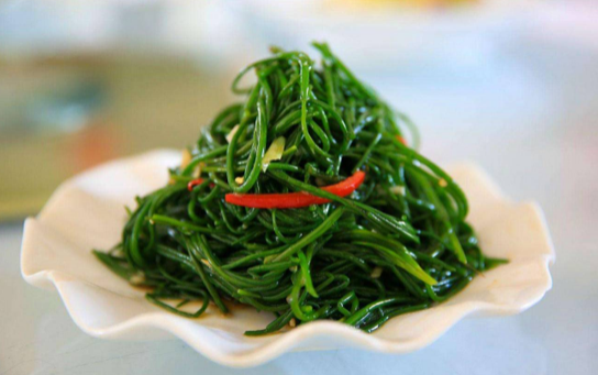 沙葱是不是就是野韭菜1