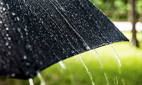 今年冬天不冷明年春天会冷吗20223