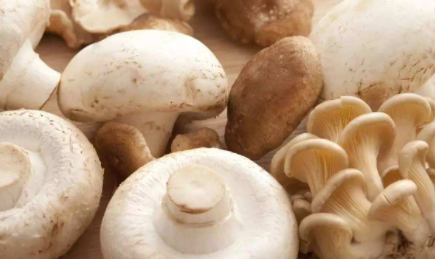 蘑菇洗过后还能放到第二天吗1