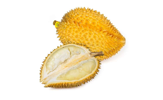 榴莲掰不开就是没熟吗2