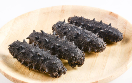 什么季节的海参最具有营养1