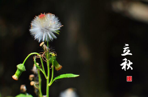 立秋后雨水多还是立秋前雨水多20212
