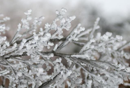 2021年末还会有寒潮吗2