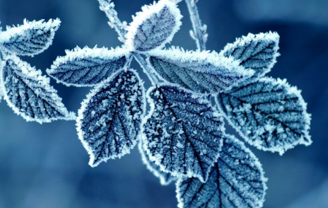 下霜一般早上几点下2