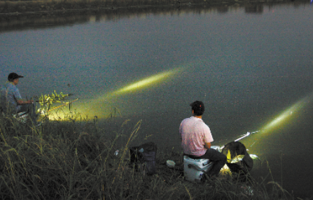 夜钓灯什么颜色的光聚鱼1