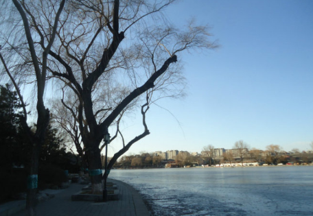 2021年冬天北京会很冷吗1