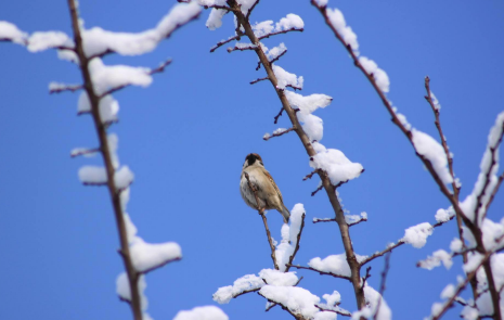 2022年前不冷年后会冷吗1