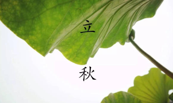 2021立秋后还有几天出伏1