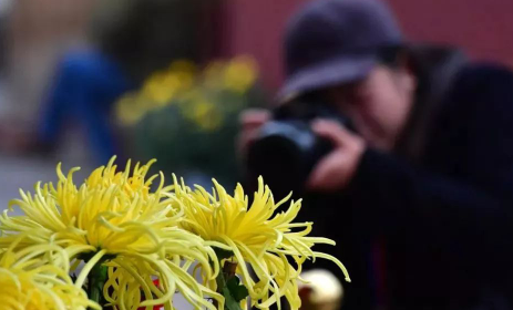 寒露和重阳节是一天吗20213