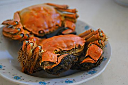 8月份吃螃蟹有肉吗3