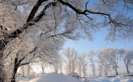 2022年冬天会不会有极端天气3