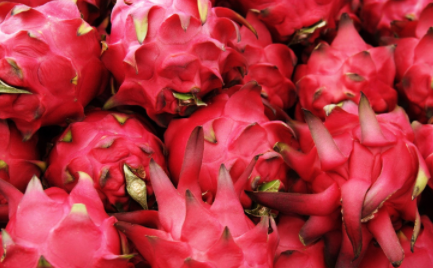 火龙果皮长毛还能不能吃1