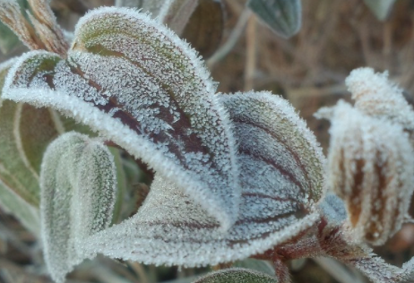 霜降几点交节20213