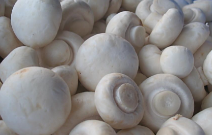 蘑菇洗过后还能放到第二天吗4