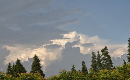 2022过年是几九冷不冷3