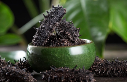 什么季节的海参最具有营养2