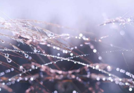 2021年寒露是几月几日几点几分1