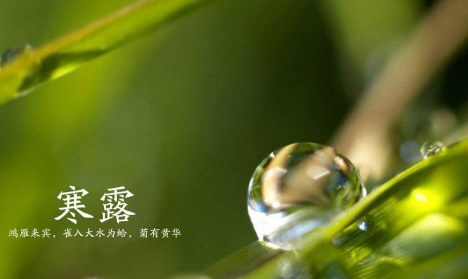 寒露和重阳节是一天吗20211