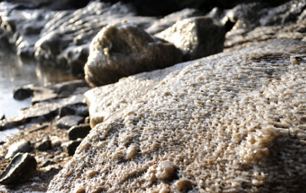 寒潮天气学校放假有必要吗2