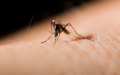 蚊子咬了肿很大很硬会不会是病3