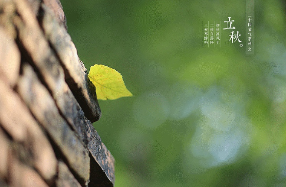 2021立秋后还有几天出伏2