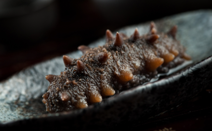 什么季节的海参最具有营养3