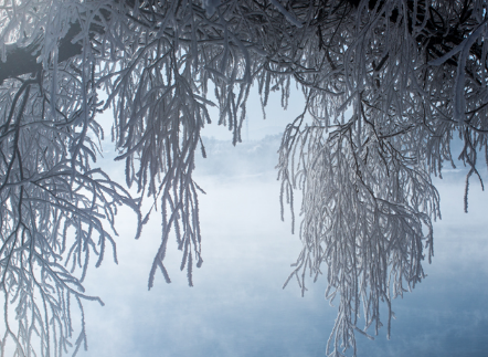 2022年过年出九了吗3