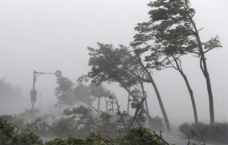 2021年12月会有台风吗2