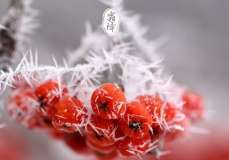 霜降几点交节20211