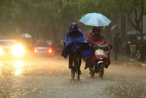 2021年冷的早还是晚2