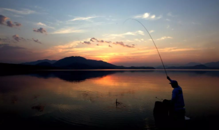 夜钓灯什么颜色的光聚鱼3