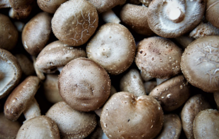 蘑菇洗过后还能放到第二天吗2