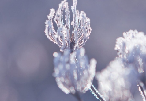 下霜一般早上几点下3