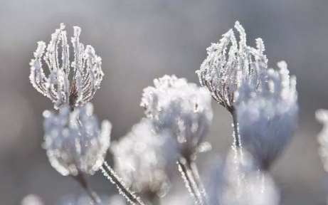 霜降几点交节20214