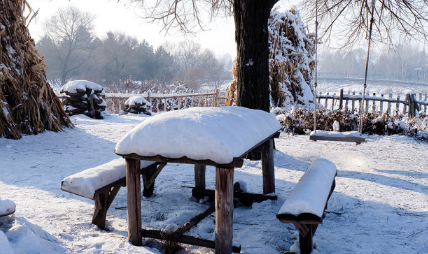 2021-2022东北的冬天什么时候开始1