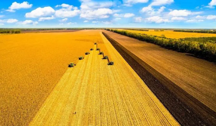 2023年兔年几龙治水几牛耕田1